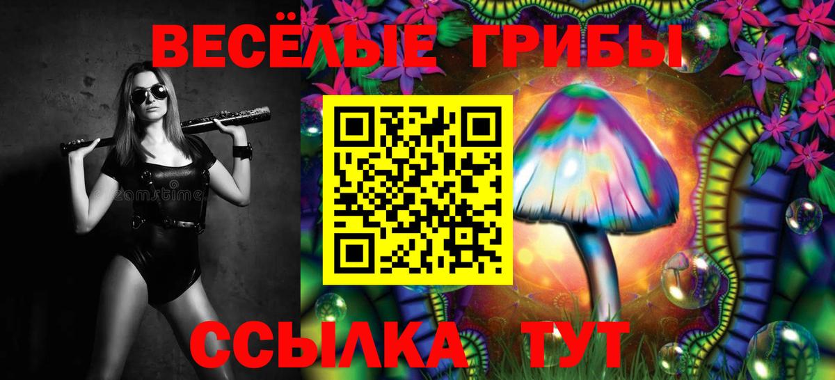 Псилоцибиновые грибы Magic Shrooms Тамбов