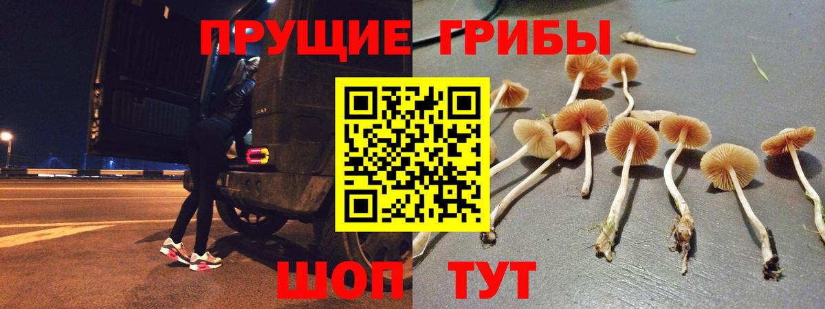Тамбов  Галлюциногенные грибы MAGIC MUSHROOMS  Вход с VPN  Галлюциногенные грибы Psilocybe 